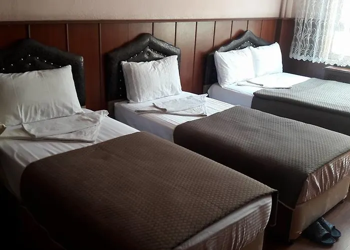 بيت شباب Ottoman كونيا